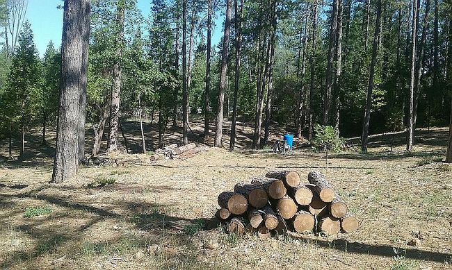 Photo of 13279 Thoroughbred Loop, Grass Valley, CA