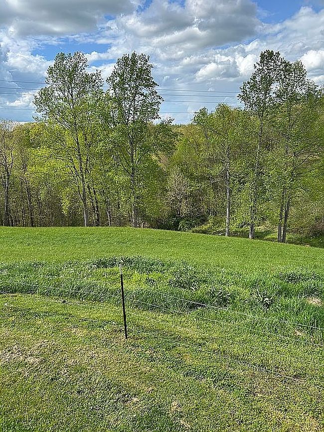 Image of 6544 Highway 421 N
