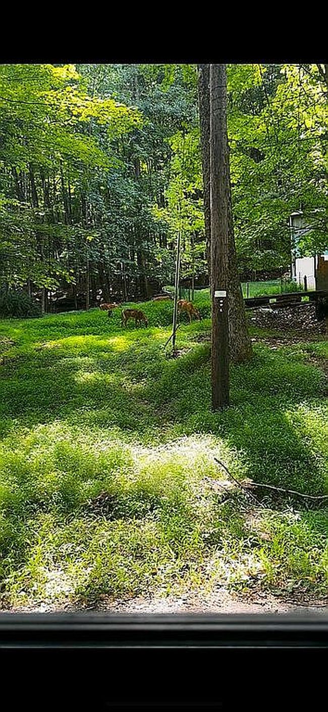 Image of 41 Westerly Rise