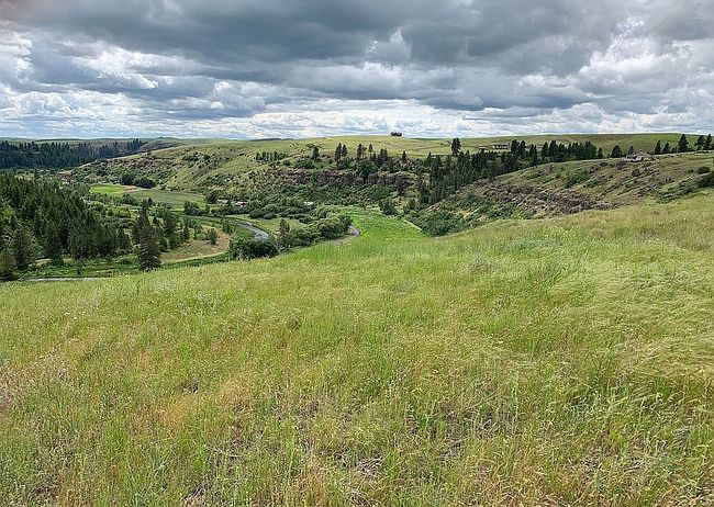 Photo of 211 Red Tail Ridge Rd, Colfax, WA