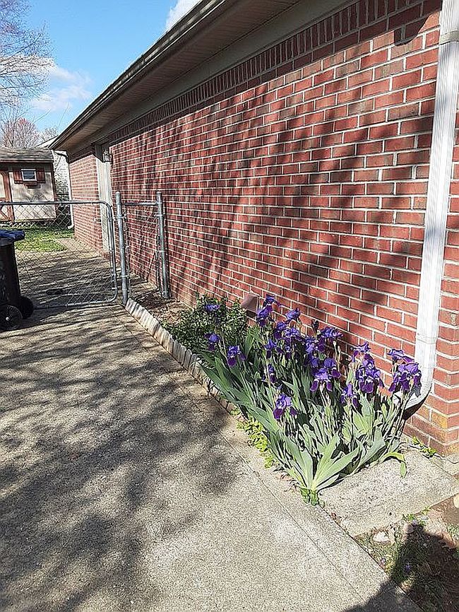 Image of 201 Turf Ct