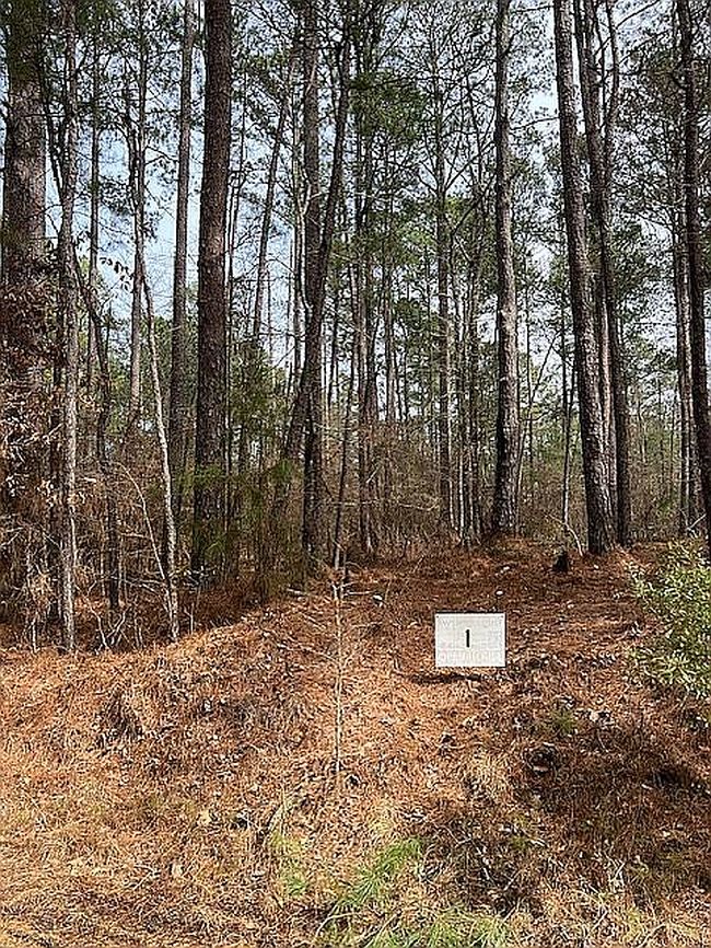 Photo of Mulberry Ln #11, Toomsuba, MS