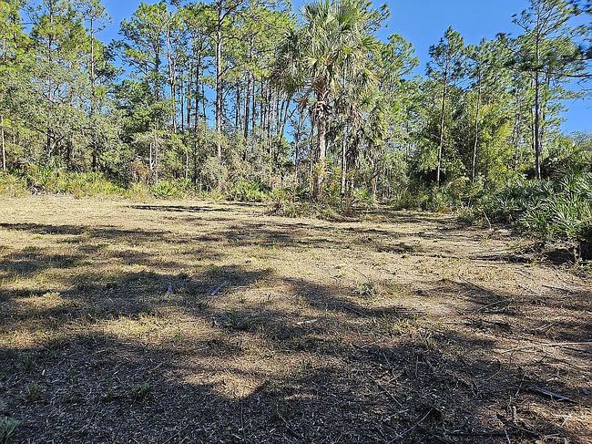 Photo of 2733 S Bolton Ave, Homosassa, FL