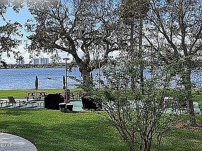 Image of 1224 S Peninsula Dr Apt 202