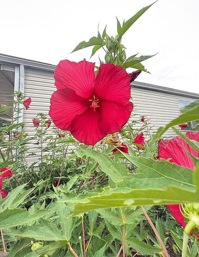 Additional photo 2 of property located at 13403 S 79th East Ave #701