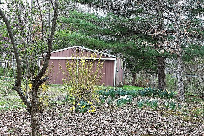 Image of 194 Mark Tilger Rd