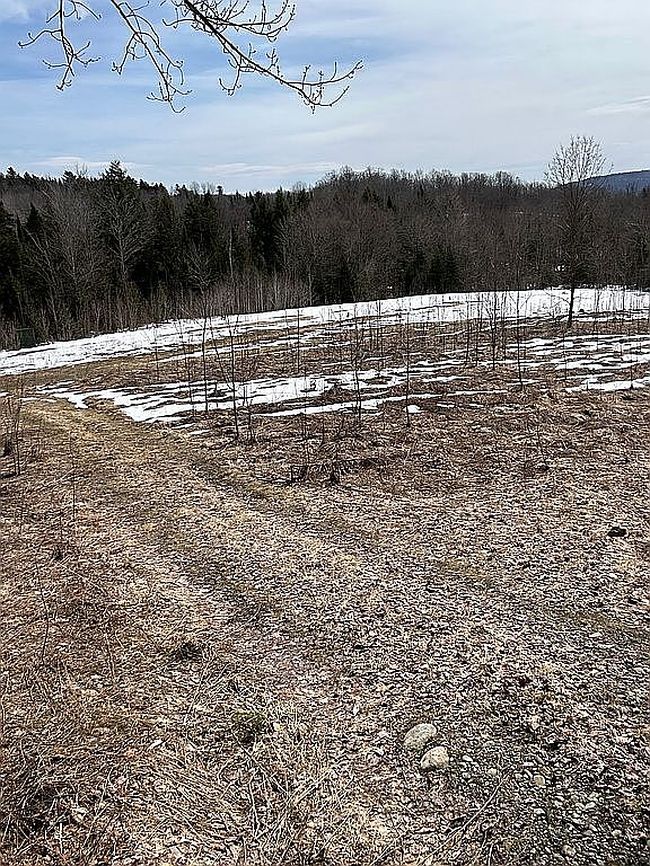 Photo of 2334 Knowles Flat Rd, Eden, VT