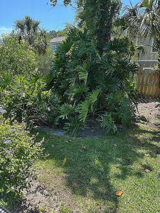 Photo of 7623 Baymeadows Cir W Apt 2065, Jacksonville, FL