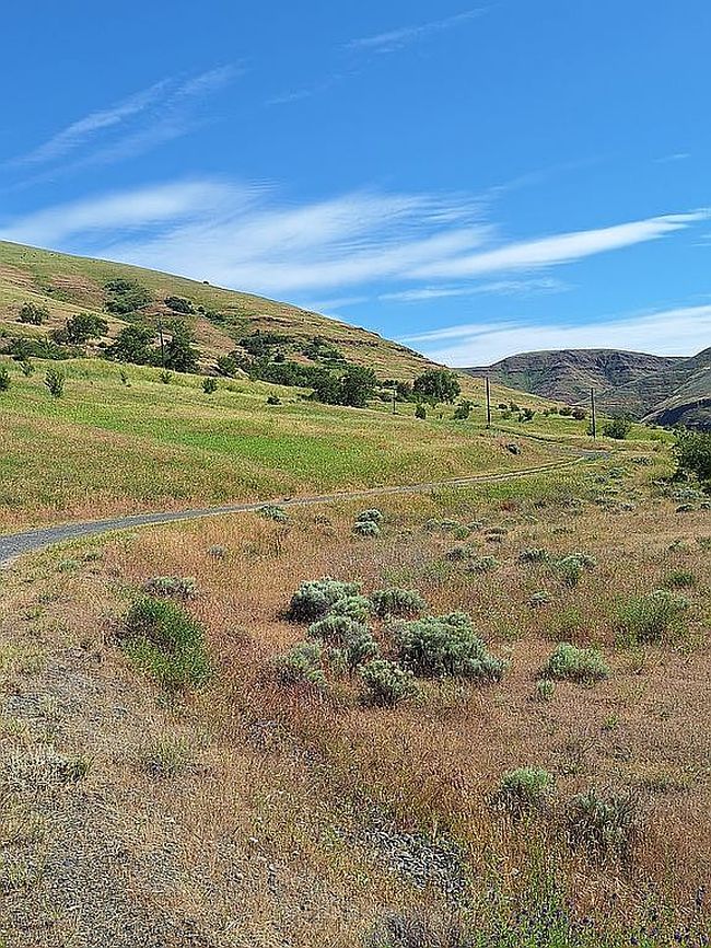 Photo of 13902 Wawawai Rd, Colton, WA