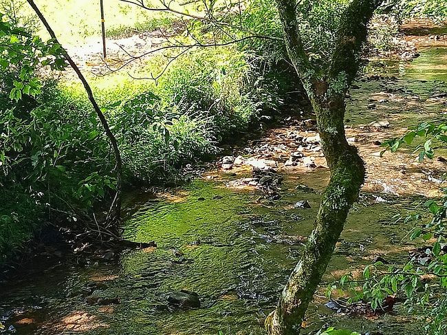 Image of 72 N Brooks Cove Rd