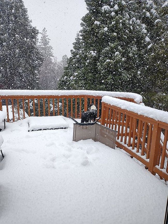 Photo of 12734 Lookout Cir, Nevada City, CA