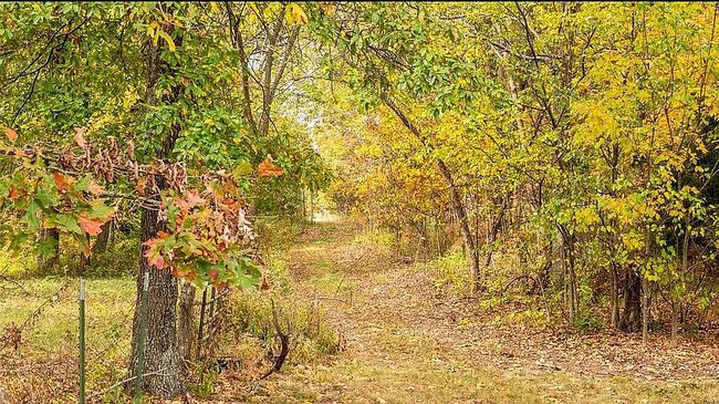 Photo of 0 Highway B St, Saint James, MO