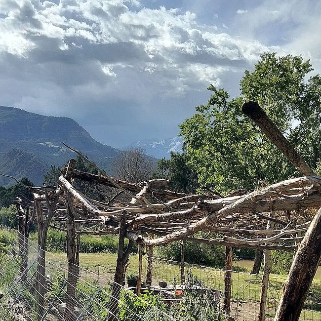 Photo of 16242 Farmers Mine Rd, Paonia, CO