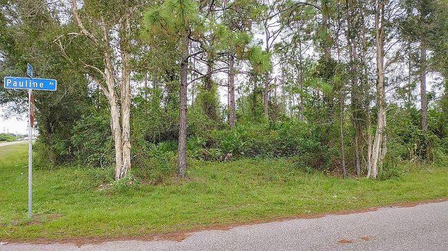 Photo of 411 Pauline Ave, Lehigh Acres, FL