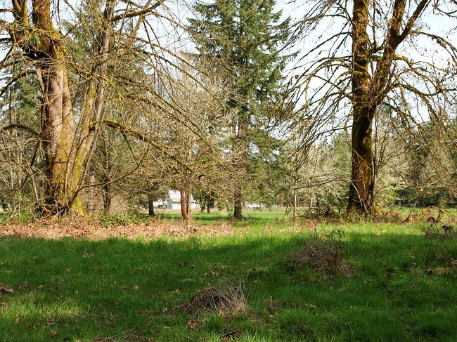 Image of 9003 58th Ave Se
