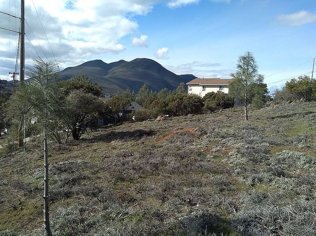 Image of 10100 El Dorado Way