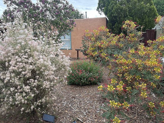 Photo of 732 Lafayette Dr Ne, Albuquerque, NM