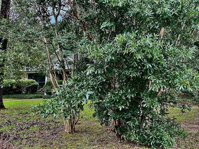 Additional photo 3 of property located at 7221 Lakewood Rd