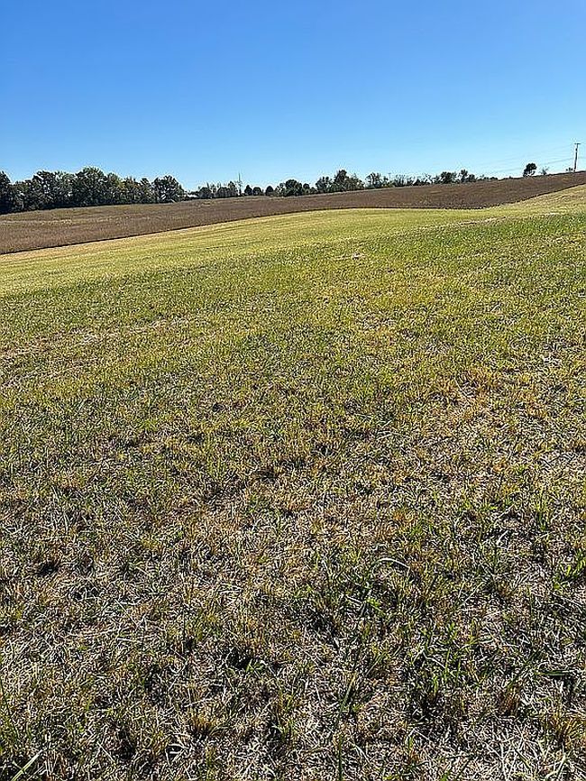 Image of Owens Chapel Rd