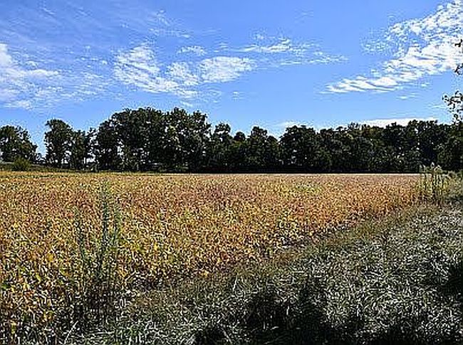 Image of E County Road 200 N