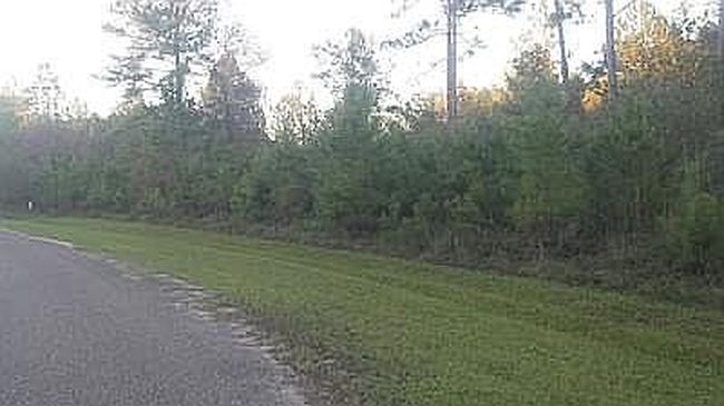 Image of 0 Janells Landing Dr