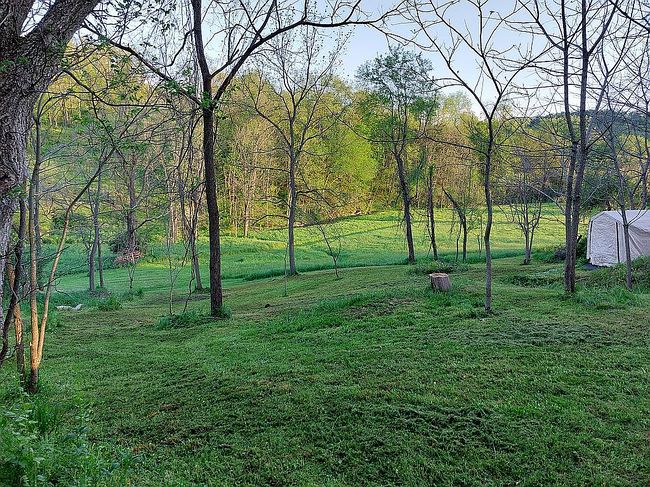 Preview of property located at 0 State Highway 519