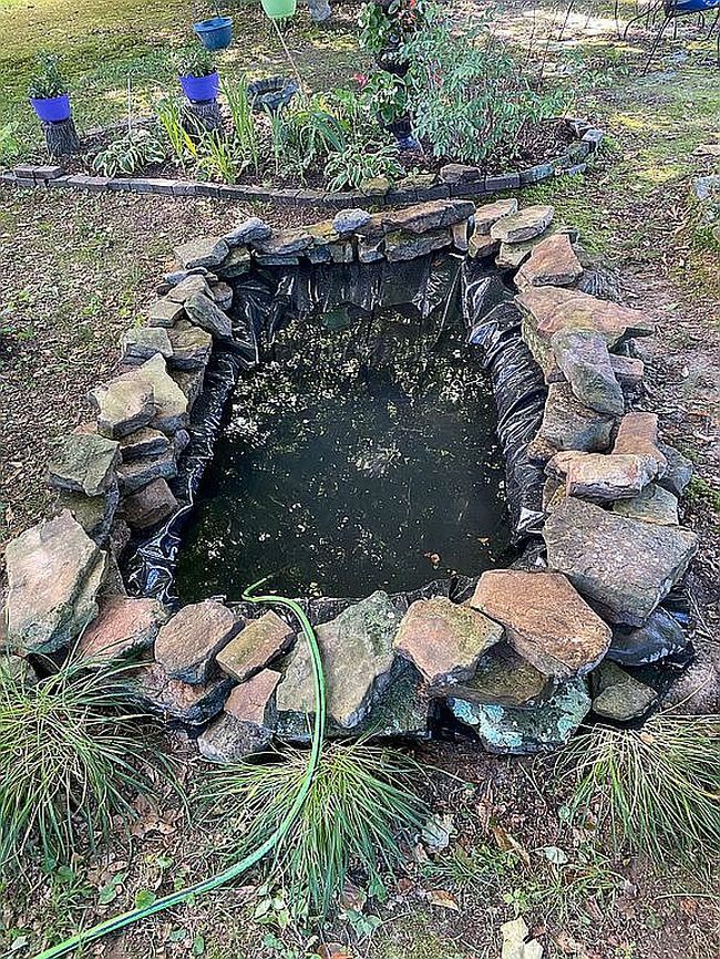 Image of 903 Shannon Dr