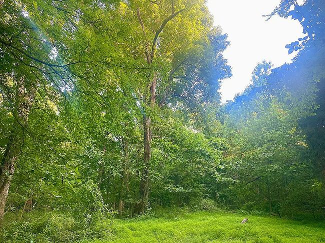 Image of 2198 Ilsley Rd