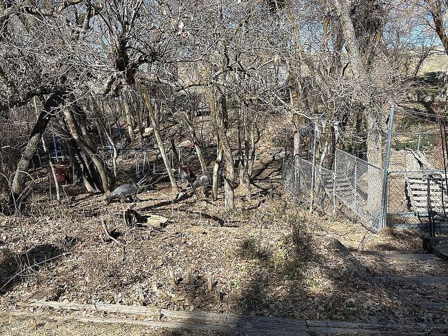 Photo of 4283 N 900 W, Pleasant View, UT