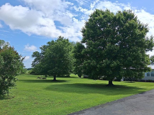 Photo of 2301 State Route 1181, Bardwell, KY