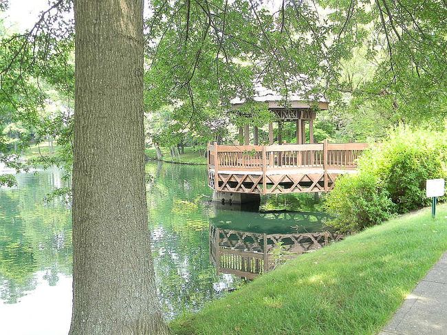 Image of 123 Lookout Farm Dr