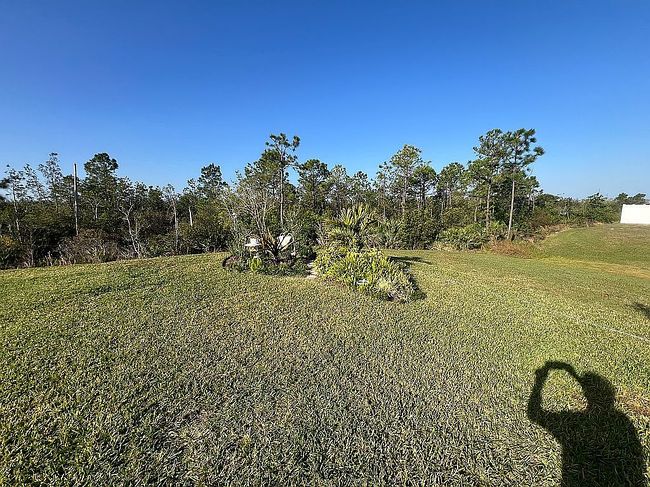 Image of 2711 Neverland Dr