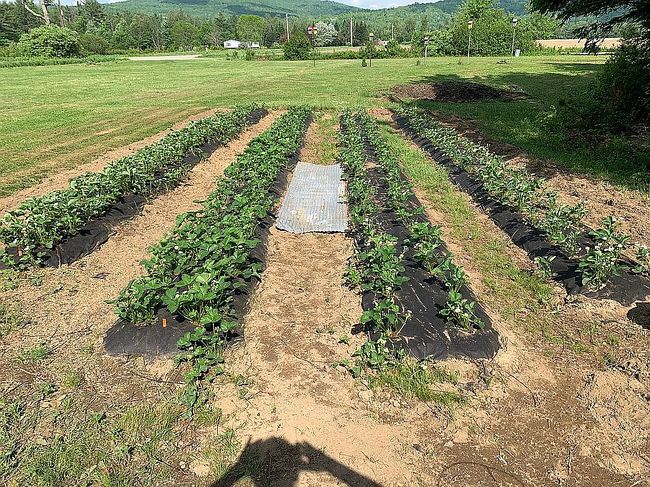 Photo of 468 North Rd, Guildhall, VT