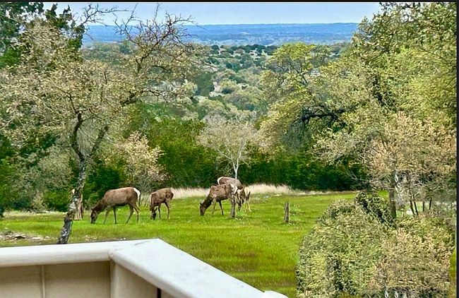 Image of 880 Rocky Top Dr Sw