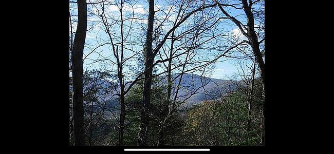 Photo of Craig Cove Rd