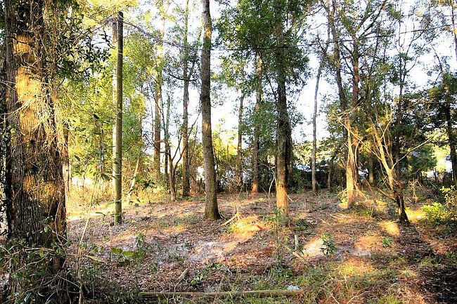 Image of 85102 Knowles Rd