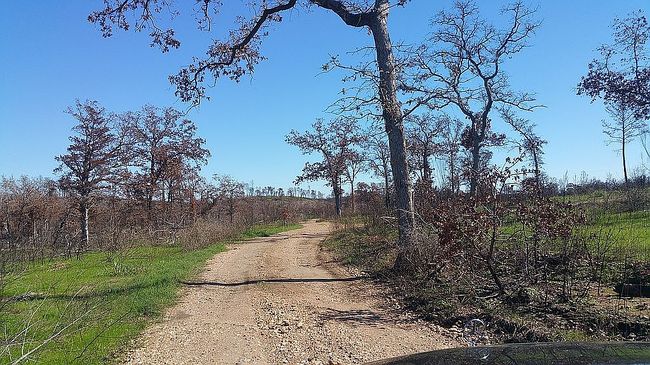 Additional photo 1 of property located at 493 Cottle Town Rd Unit C