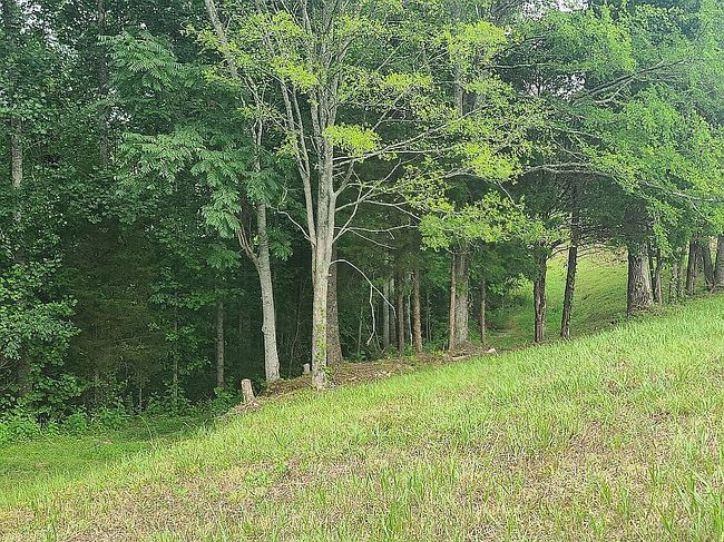 Image of 256 Terrapin Ridge Rd