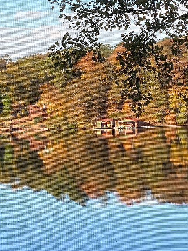 Image of 205 Snow Lake Dr