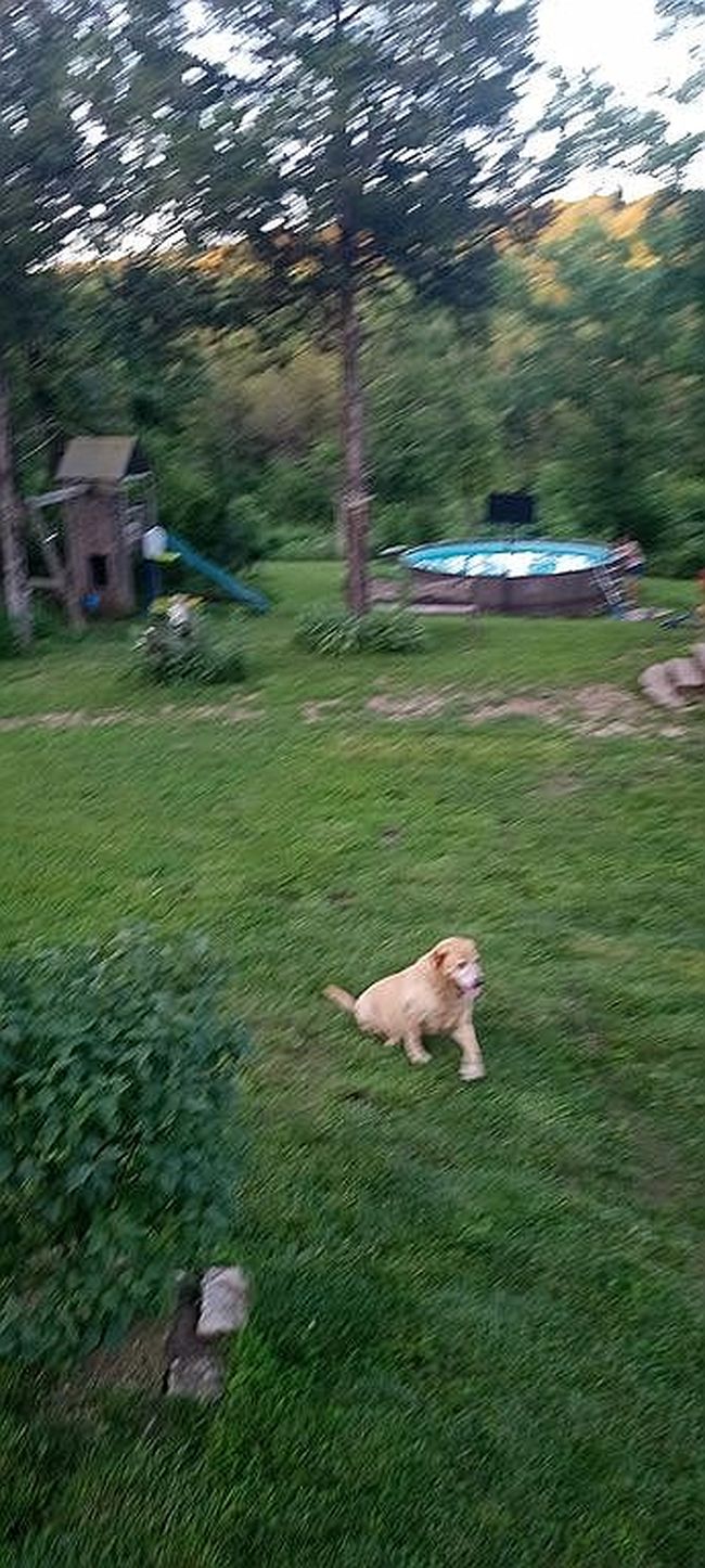Photo of 478 County Road 2197, Berryville, AR
