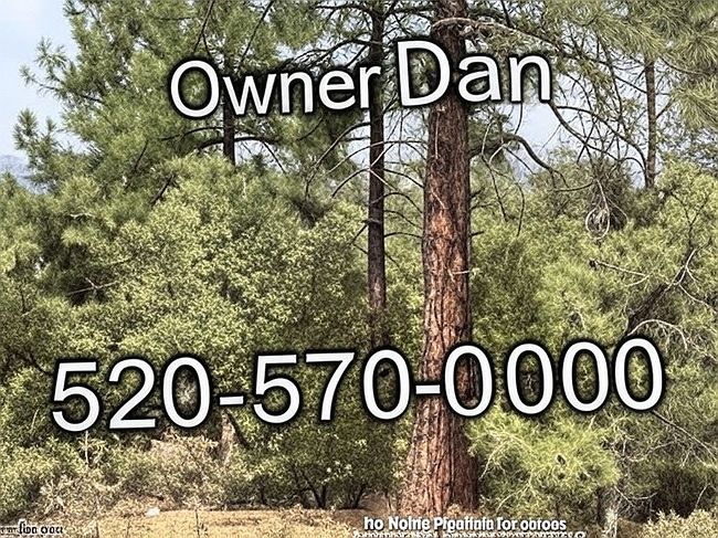 Photo of 700 N Tyler Pkwy, Payson, AZ