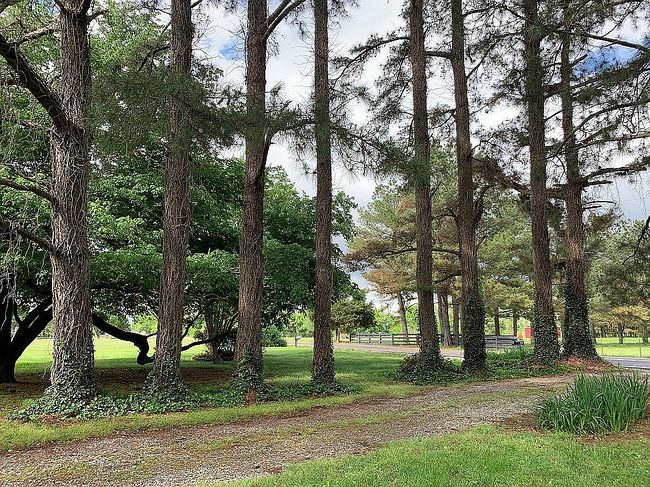 Image of 688 Spring Creek Law Rd