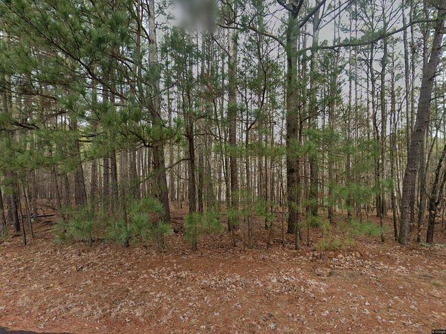 169 Mandarina Way, Hot Springs, AR