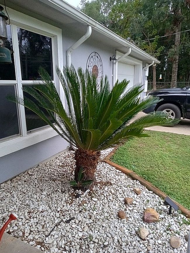 Photo of 7670 Whiting Field Cir, Milton, FL