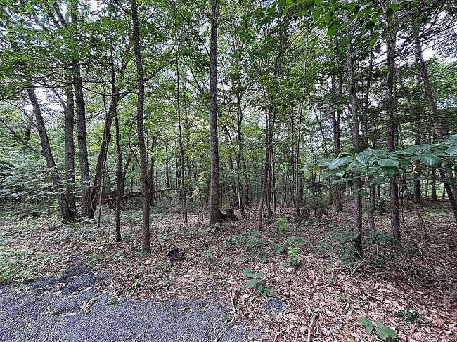 Photo of 974 Sundance Retreat Ln, New Market, VA