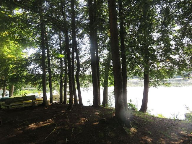 Image of 150 Lorton Lake Dr