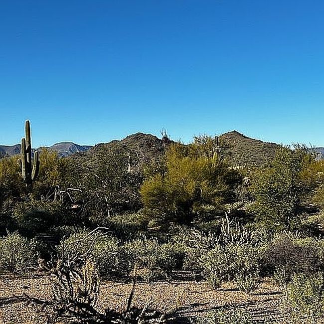 Image of 5580 E El Sendero Dr