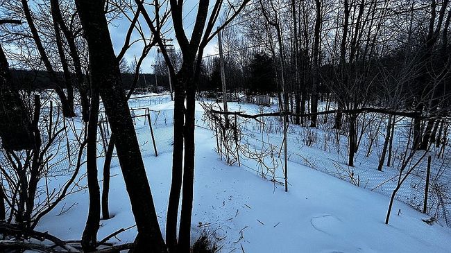 Image of 2059 Loomis Brook Rd