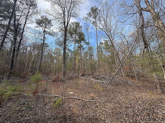 Photo of 412 Towaliga Trl, Forsyth, GA