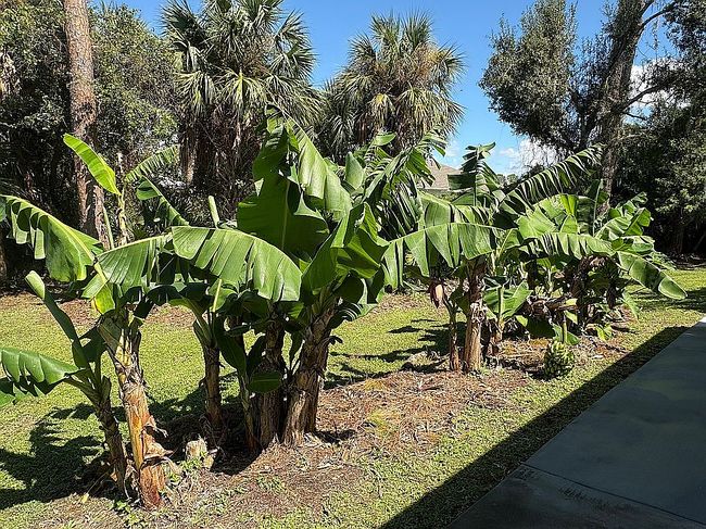 Image of 1594 S Chamberlain Blvd